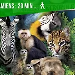 Duplex Safari Jusqu\'A 4 Personnes, Spa, Cinema Et Lit Sous Les Arbres, Day Use, 10 Min Centre